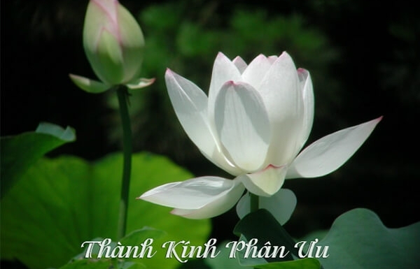Lời cảm tạ từ gia đình đồng chí Vũ Trọng Quốc Thịnh
