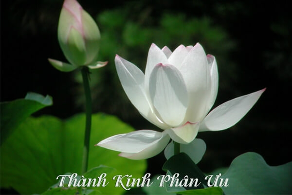 Lời cảm tạ từ gia đình đồng chí Vũ Trọng Quốc Thịnh