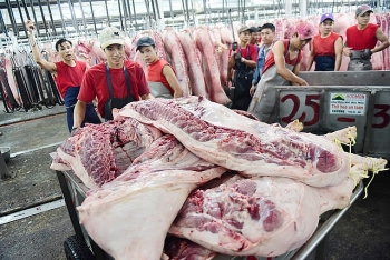 TP HCM xử lý tốt thông tin về dịch tả lợn châu Phi