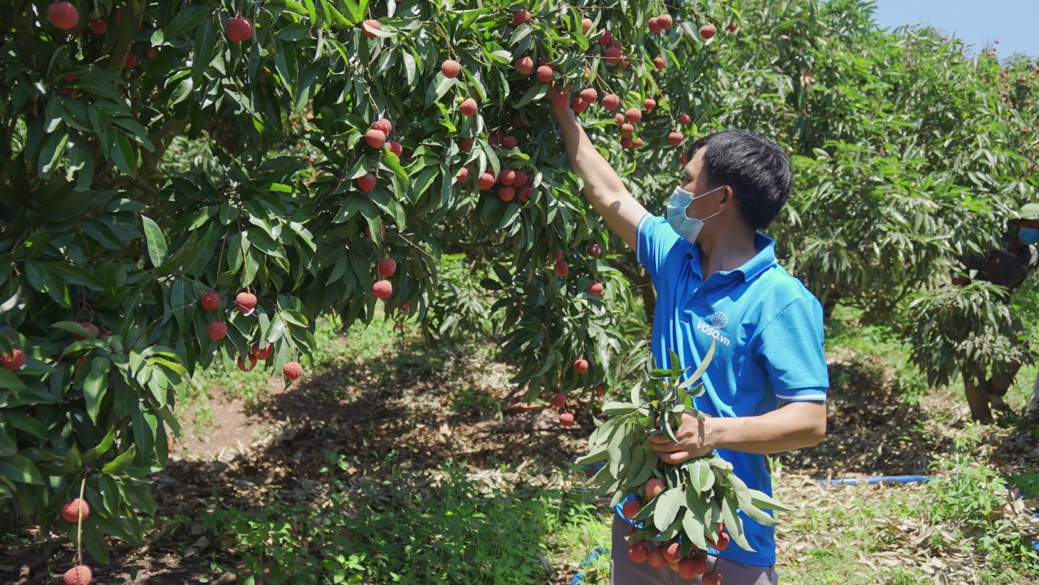 Nông sản Việt tham gia "Thương mại điện tử xuyên biên giới"