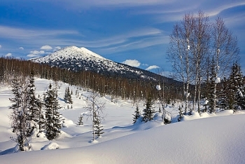 Nắng nóng kéo dài ở Siberia khiến 1,15 triệu ha rừng bị thiêu rụi