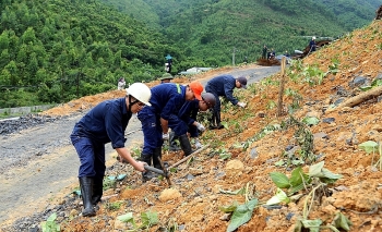 Than Nam Mẫu "xanh hóa" sản xuất