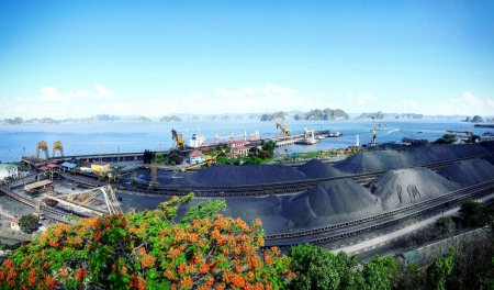 Tuyển than Cửa Ông triển khai “chủ trương 1, biện pháp 10, quyết liệt 20”