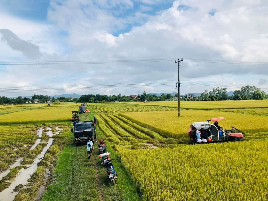 Biến đổi khí hậu có thể tàn phá mùa màng