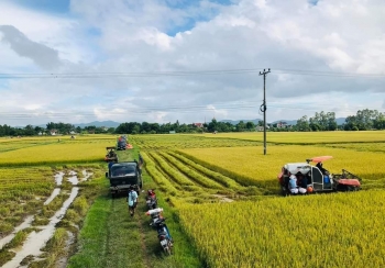 Biến đổi khí hậu có thể tàn phá mùa màng