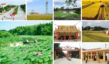 Nông thôn Việt Nam đã “mới” hơn