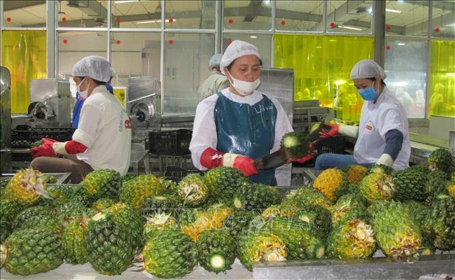 de-nong-san-viet-co-cho-dung-tai-thi-truong-eu-2