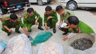 Bắt giữ 1,2 tấn bì lợn thối