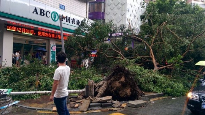 chum anh hong kong toi boi vi suc manh cua bao so 2