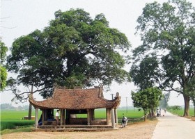 Có một làng "ông Nghè như… lá tre"