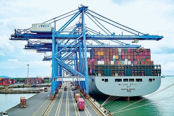 Tin tức kinh tế ngày 7/1: Khan hiếm container lạnh xuất trái cây đi Trung Quốc