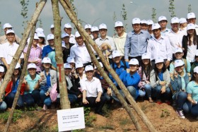 Trồng cây thật - trồng cây giả