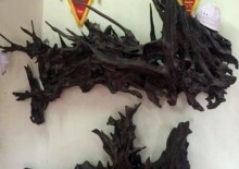ban hang cho nha giau viet ngay cang phat dat