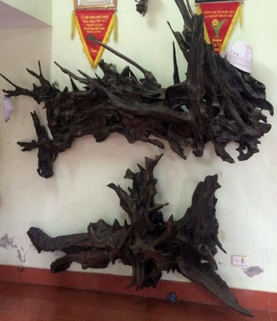 nhung thu choi dot tien ngay tet cua dai gia viet