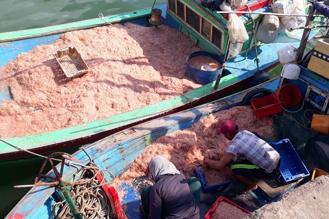 ngu dan binh dinh trung lon loc bien kiem tien trieu chi vai gio