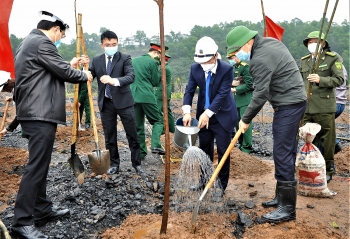 Than Cọc Sáu phấn đấu phủ xanh 16 hecta bãi thải đất đá trong năm 2022