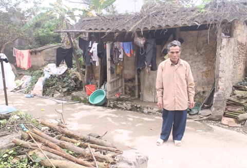 Nỗi đau ở làng điên (Bài 1)