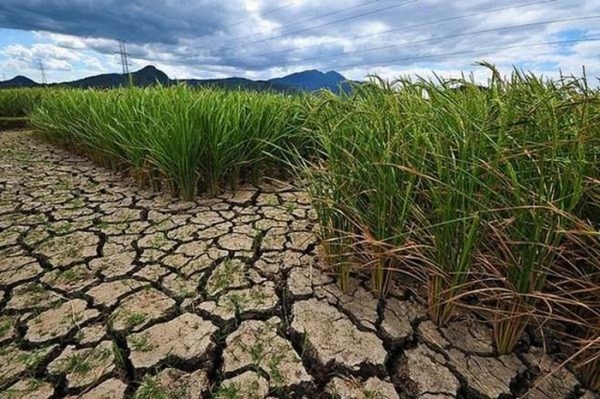 Bùng phát biến đổi khí hậu sẽ tăng thiệt hại kinh tế lên gấp 3 lần