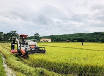 Bảo đảm đủ lương thực, thực phẩm trong mọi tình huống