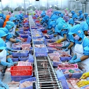 Xuất khẩu nông, lâm, thủy sản tăng trưởng tới 15,6%