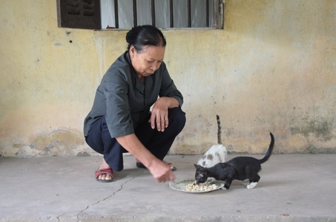 Phận thanh niên xung phong  thời hậu chiến (Kỳ 2)