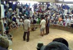 triet pha them mot xoi ga khung o tien giang