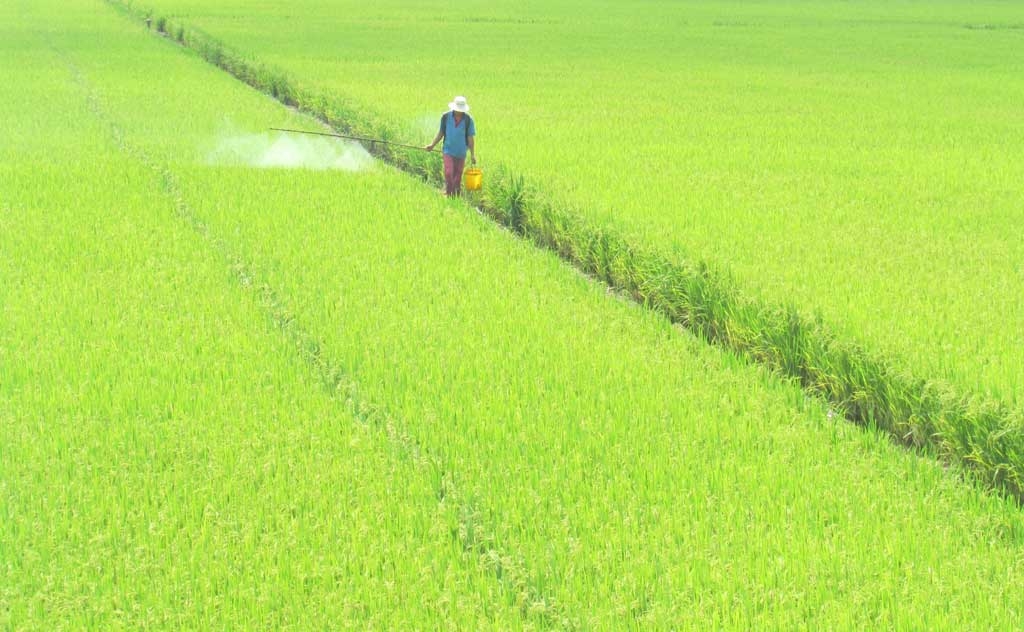 Chuyển mục đích sử dụng hơn 81 ha đất tại Long An