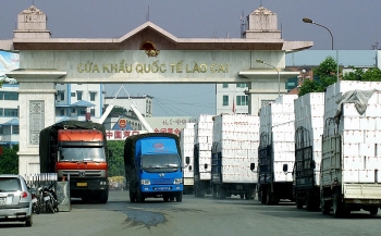 Tin tức kinh tế ngày 13/4: Xuất khẩu sang Trung Quốc hồi phục mạnh