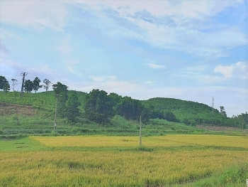 Chuyển mục đích sử dụng đất tại 3 tỉnh: Bạc Liêu, Ninh Bình và Hậu Giang