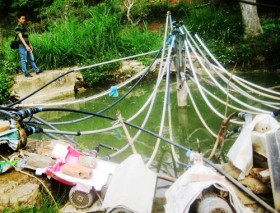 Giếng… mắt rồng