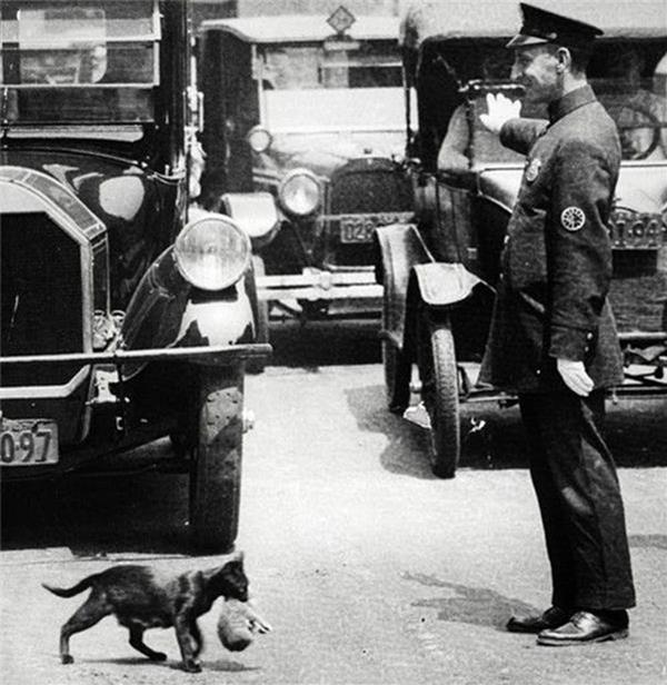 Chuyện cảm động đằng sau bức ảnh được lưu truyền 90 năm cau chuyen cam dong dang sau buc anh lich su luu truyen 90 nam