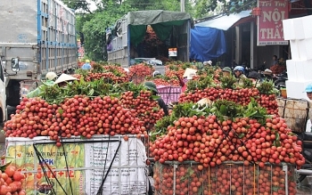 Thủ tướng chỉ đạo tháo gỡ khó khăn tiêu thụ nông sản cho Bắc Giang