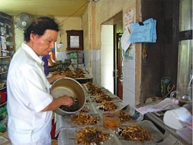 Miệt mài xoa dịu nỗi đau da cam