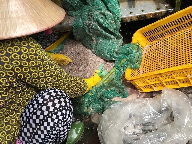 kiet tac si hoa thach gia hon 10 cay vang vay ca mien tay dat hang gia cao khong tuong