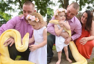 Hoảng hốt bé 2 tuổi gái âu yếm con trăn dài gần 5 mét