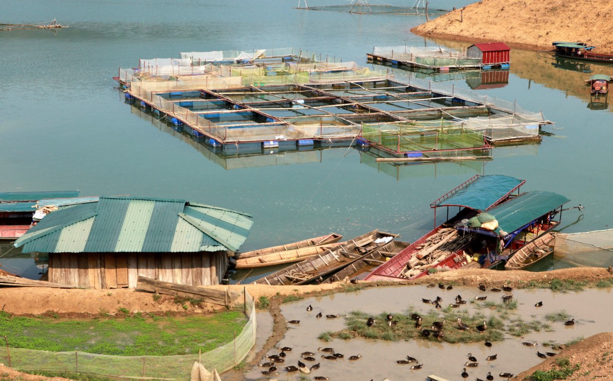 10 sự kiện nổi bật ngày 19/7 10 sự kiện nổi bật ngày 19/7