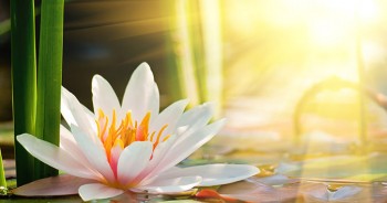 3 câu chuyện khiến bạn phải xem tới 3 lần và trầm ngâm tới 3 tiếng…