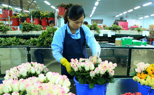 thieu hut nhan luc lam kho doanh nghiep nong nghiep cong nghe cao