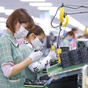 Hỗ trợ người lao động và người sử dụng lao động gặp khó khăn do đại dịch COVID-19