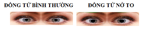 Bí mật tác động nhanh người khác qua ngôn ngữ cơ thể