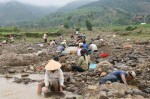 van de nong hau khai thac con bo ngo