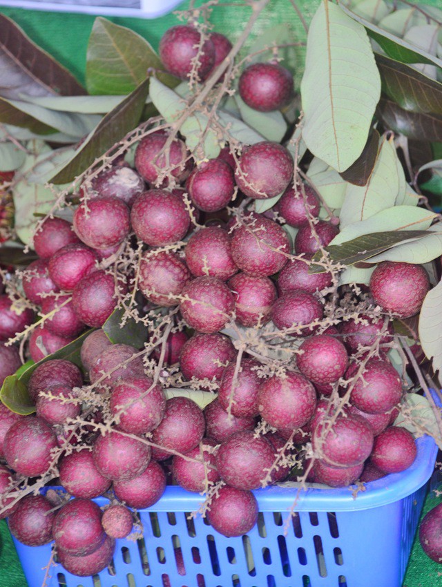 nhan tim thuong lai thai lan lung mua moi nhanh gia bac trieu