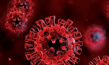 Israel, Trung Quốc phát triển thiết bị AI phát hiện virus SARS-CoV-2 qua hơi thở, độ chính xác 92%