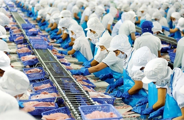 Tin tức kinh tế ngày 11/8: Xuất khẩu thủy sản đạt kỷ lục