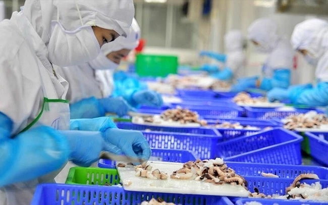 Tin tức kinh tế ngày 22/8: Một doanh nghiệp thủy sản Việt Nam bị Trung Quốc đình chỉ xuất khẩu