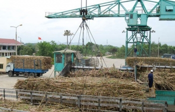 VSSA hiến kế các giải pháp cứu nguy cho các doanh nghiệp mía đường