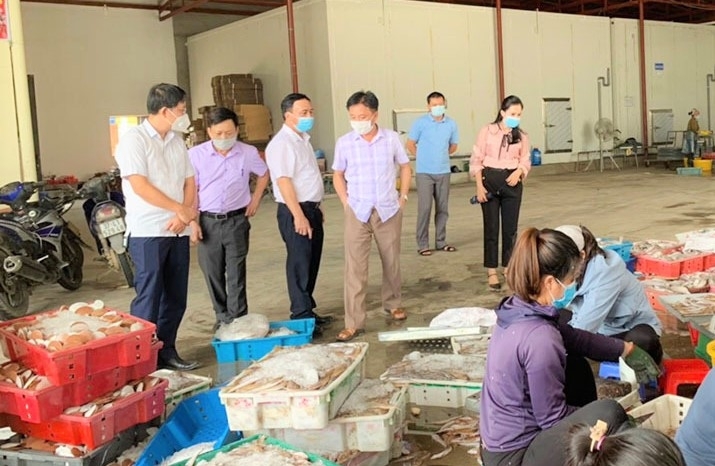 Tin tức kinh tế ngày 25/9: Nghệ An kêu gọi “giải cứu” 10.000 tấn hải sản