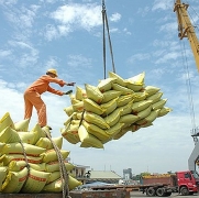 Tin tức kinh tế ngày 4/9: Thái Lan và Việt Nam hợp tác tăng giá gạo xuất khẩu