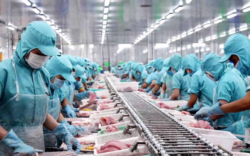 Tin tức kinh tế ngày 15/9: Mỹ giữ nguyên thuế nhập khẩu với cá tra, cá basa của Việt Nam