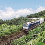 Phê duyệt Quy hoạch mạng lưới đường sắt thời kỳ 2021-2030, tầm nhìn đến năm 2050
